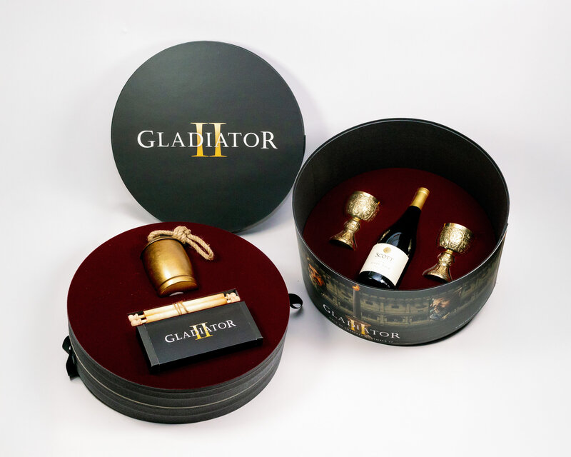DianaLeeStudio_20241114_SavvyCreativeAgency_Gladiator2_009