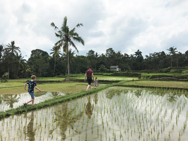 Reis_met_kinderen-Indonesie-rijstvelden