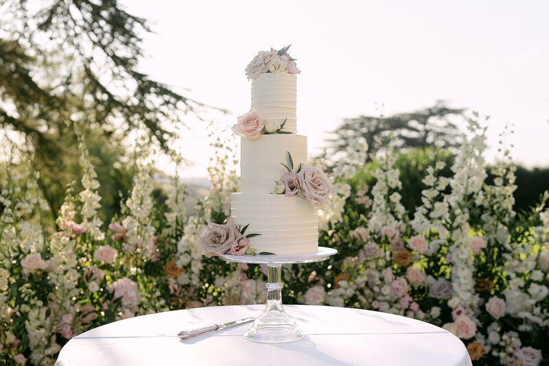 Emily&SeanPreviews_LynnShapiroPhotography-79