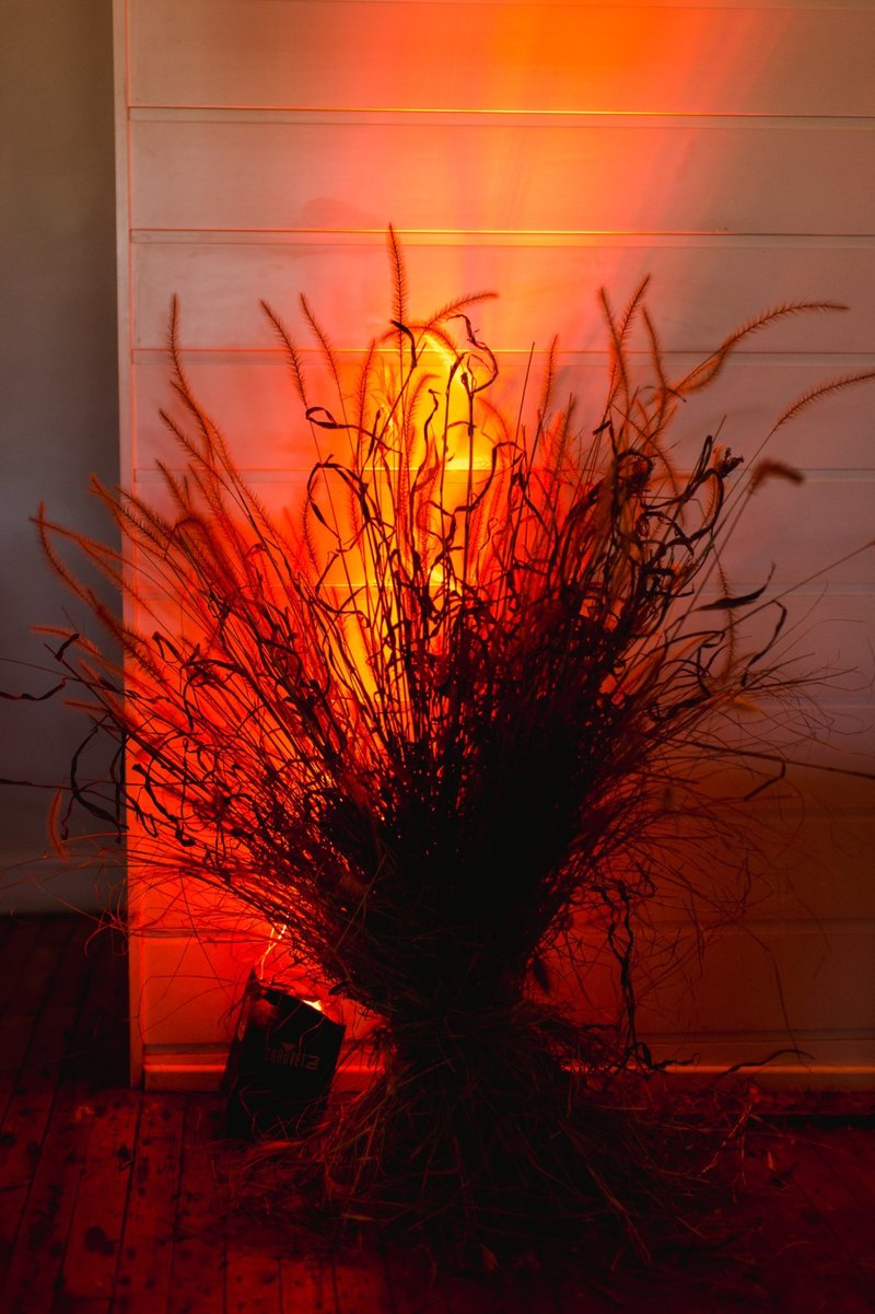 The-Grange-Community-Kitchen-Hamburg-NY-Halloween-Party-Buffalo-Bills-13