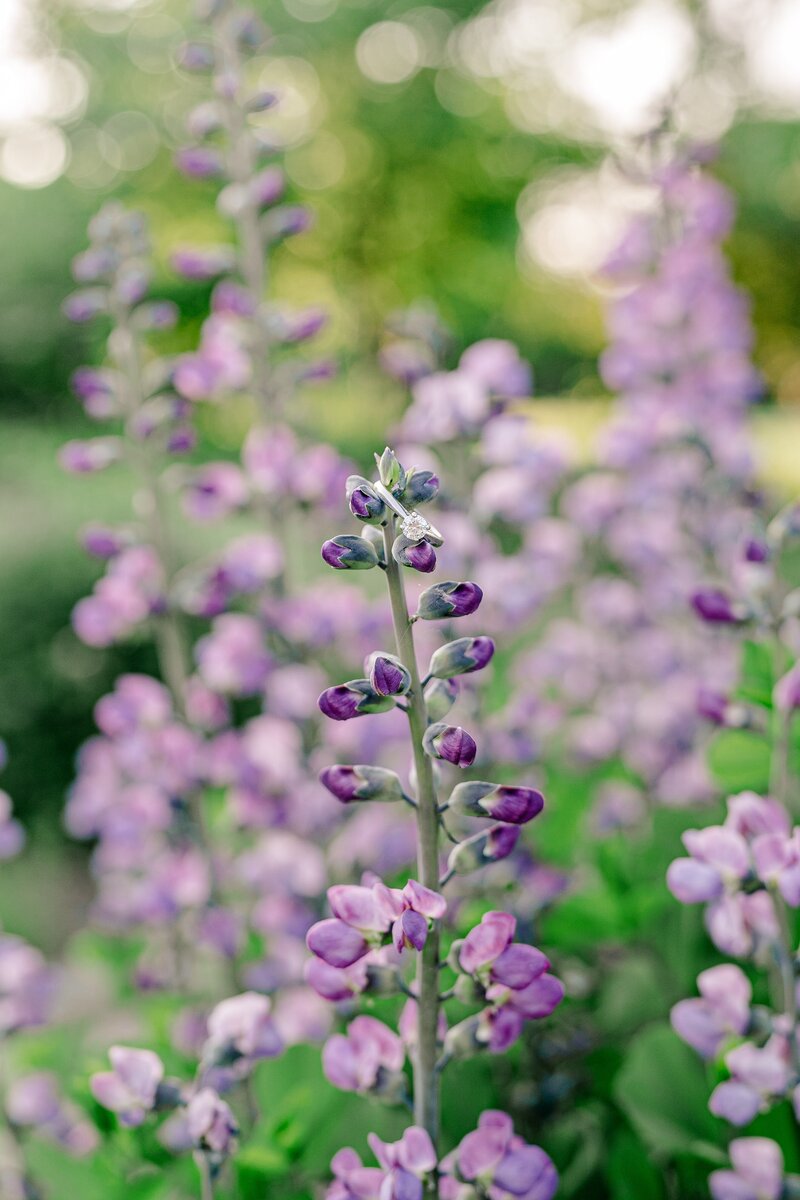 colorful-spring-garden-engagement-in-lincolnia-virginia-00001