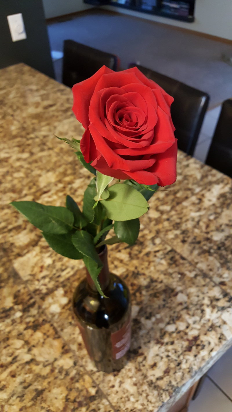 1) Rose from the 1st Date