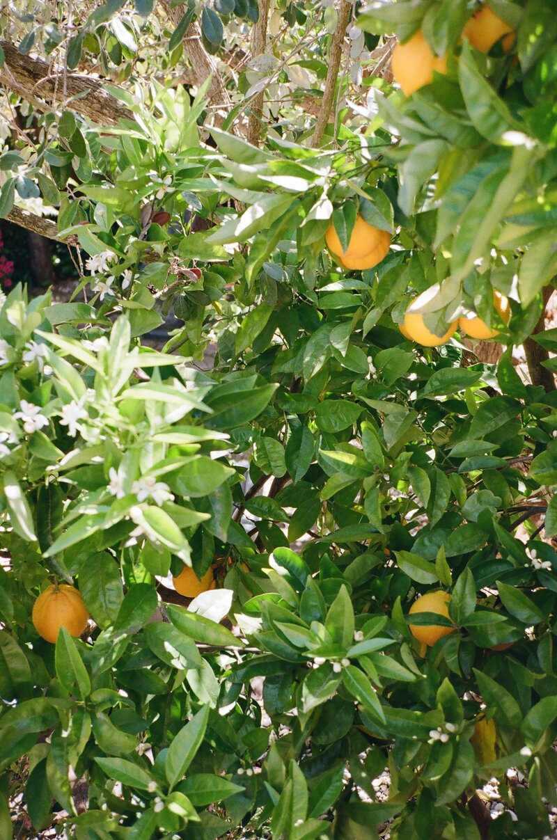 outdoor seating at virginia wedding