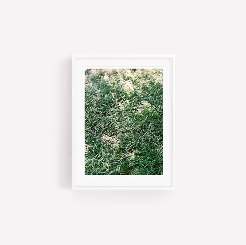 BrooklynGrass_WhiteFrame