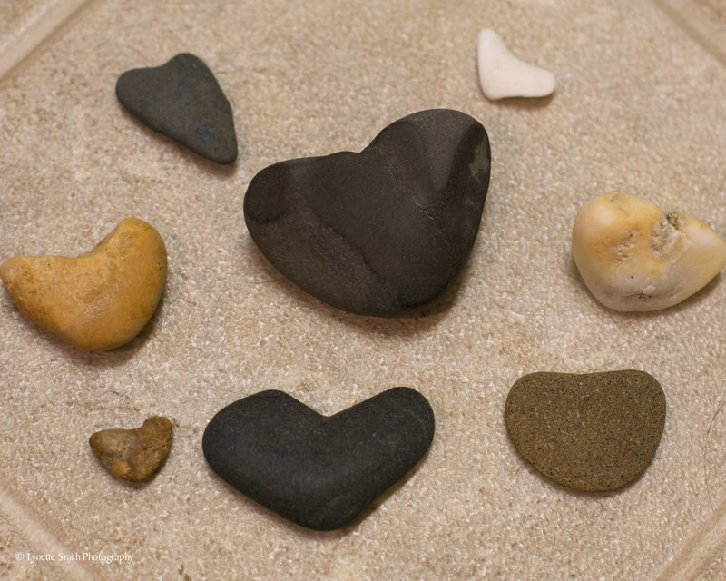 Heart-shaped stones of various colors and sizes are arranged on a sandy surface. The stones range from dark black to shades of brown and a single white stone. The sandy texture provides a uniform background.