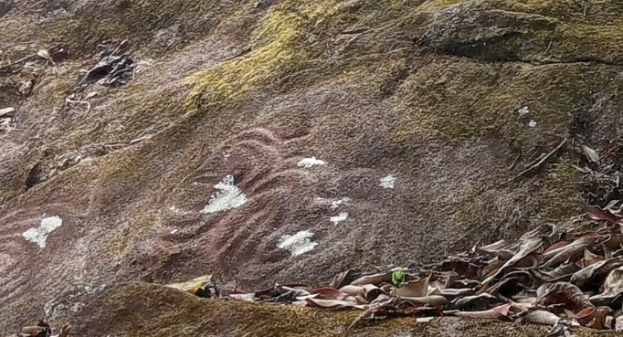 Amy Porterfield supporting digital course creators to achieve their dreams