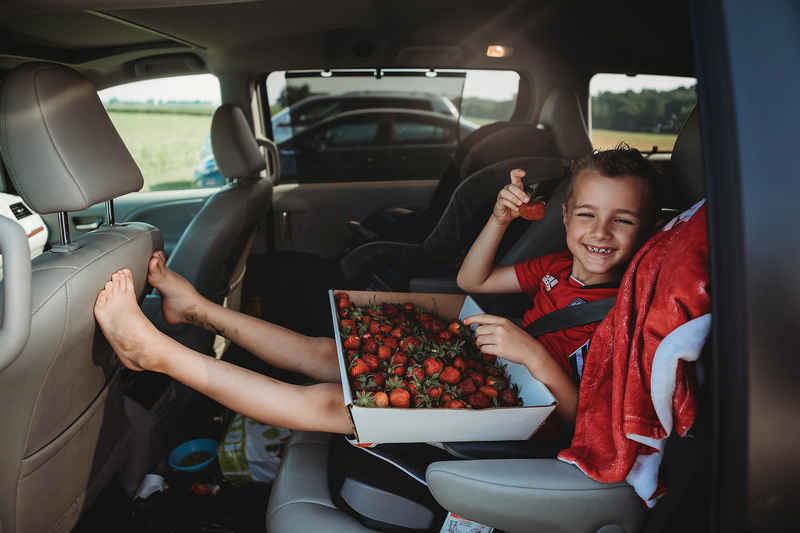 Child-holding-basket-of-strawberries