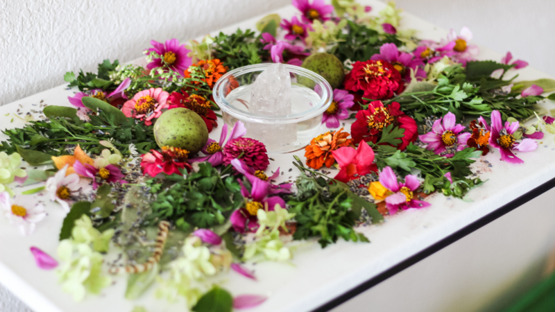 Mount Shasta CA Yoga Classes Reiki Training Naturopath Christian Counselor