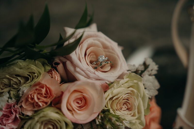 Tamar+RossTeasers-004