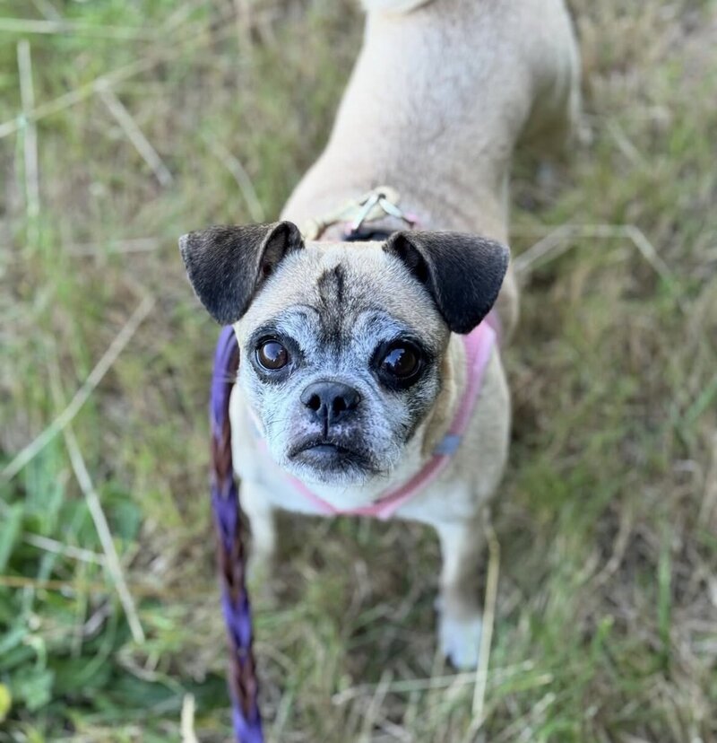 Coco (7)