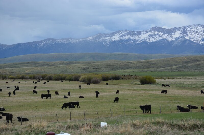 views from Huston Lodge in Walden, CO