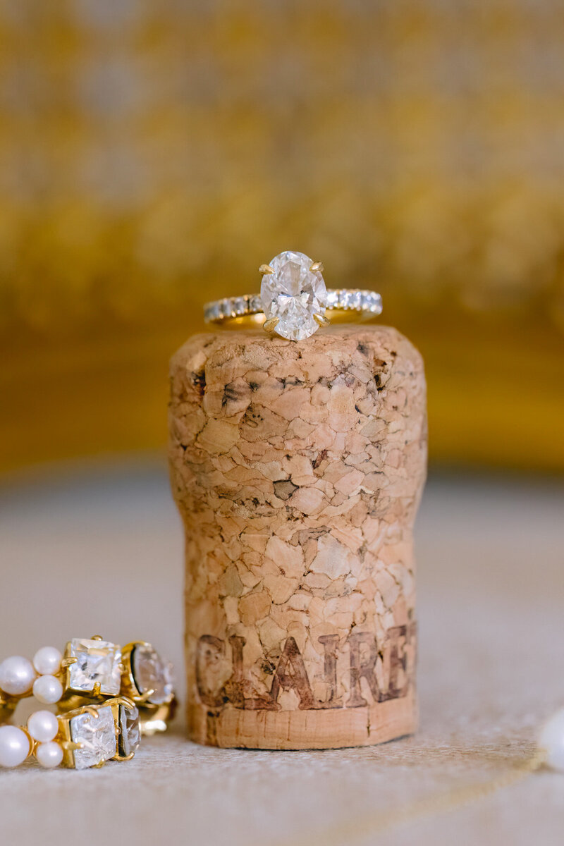 photographe mariage chateau alpheran victoria le petit-7