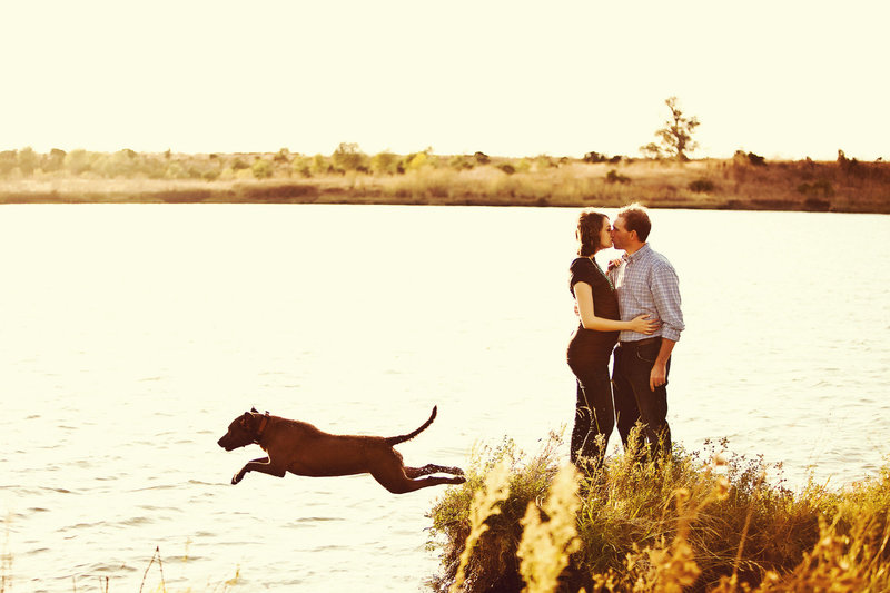 San Francisco pet photography