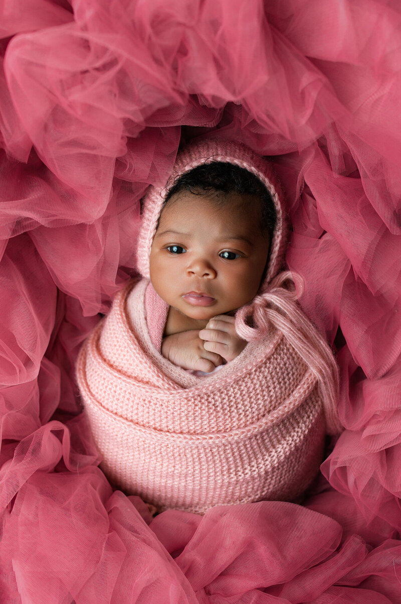 Newborn photography — baby girl in pink swaddle and bonnet, eyes open and surrounded by pink tulle