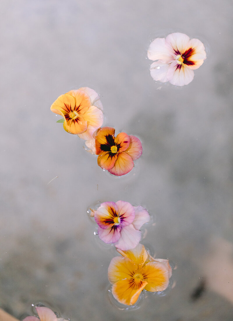 napa-wedding-photographers-dejaureguis-erin-courtney-campovida-wedding-0020