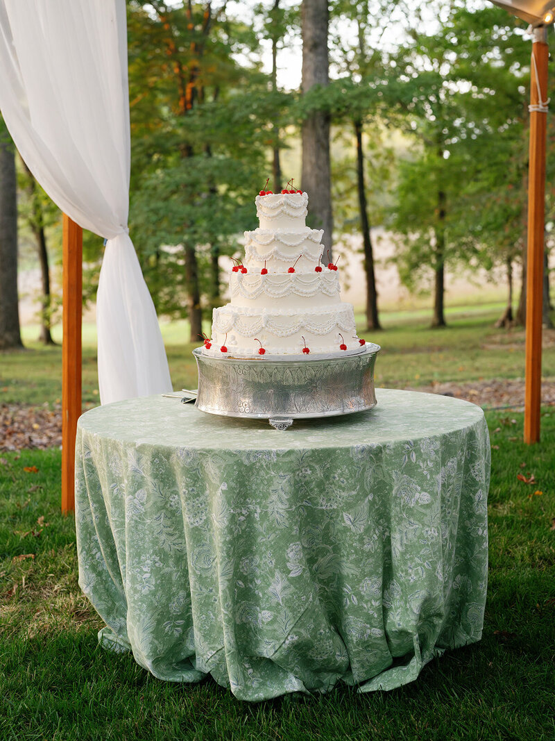 MS-S+T-Wedding-Highlights-173