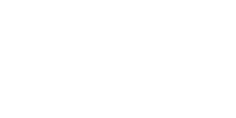 salvione_logo1