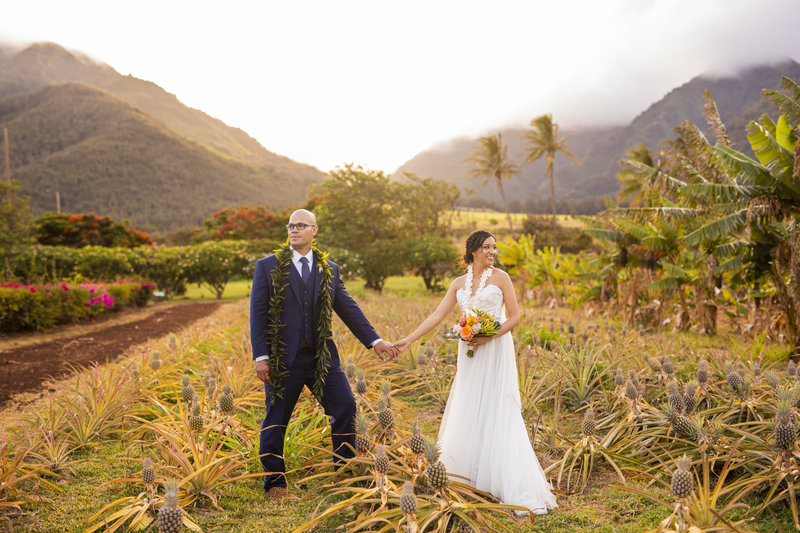 Wedding Photography, bride and groom holding hands in Hawaiian plantation