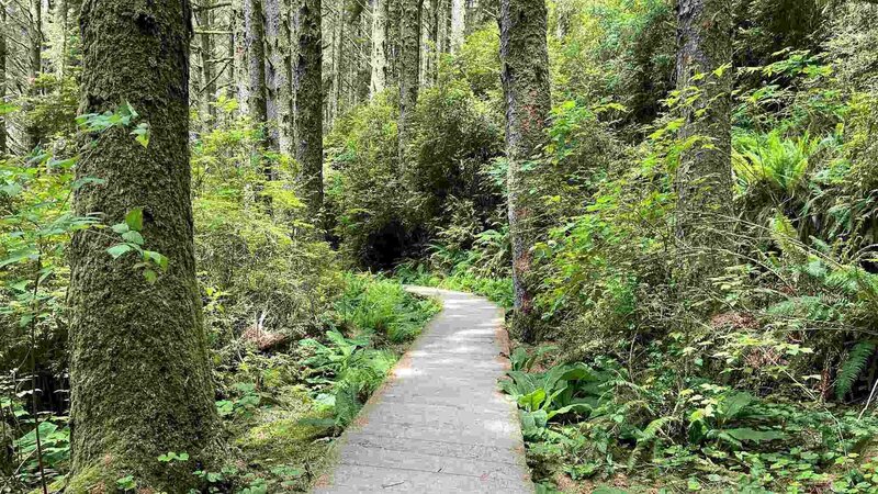 Walking a new health and wellness path