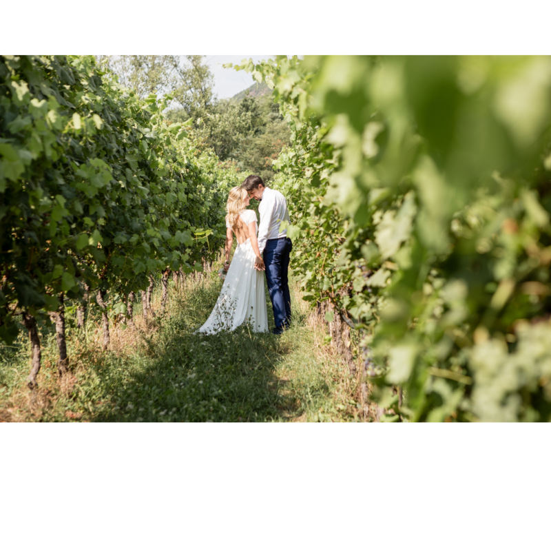 Couple celebrating love in Kumeū vineyard wedding venue NZ