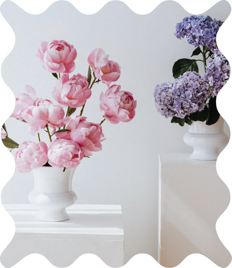 Custom flower arrangements of pink peonies and purple hydrangeas in white vases
