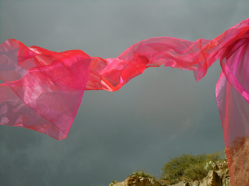 pink line 01