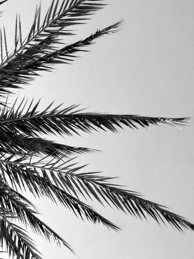 lorene-farrugia-JpmC-tAHiVA-unsplash