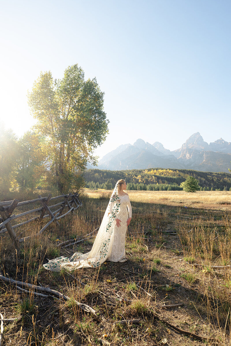 Jackson Hole wedding photographer takes engagement pictures for couple in Grand Teton National Park 