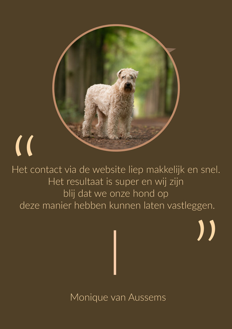 Review MONIQUE-AUSSEMS