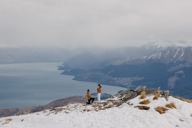 Queenstown helicopter proposal