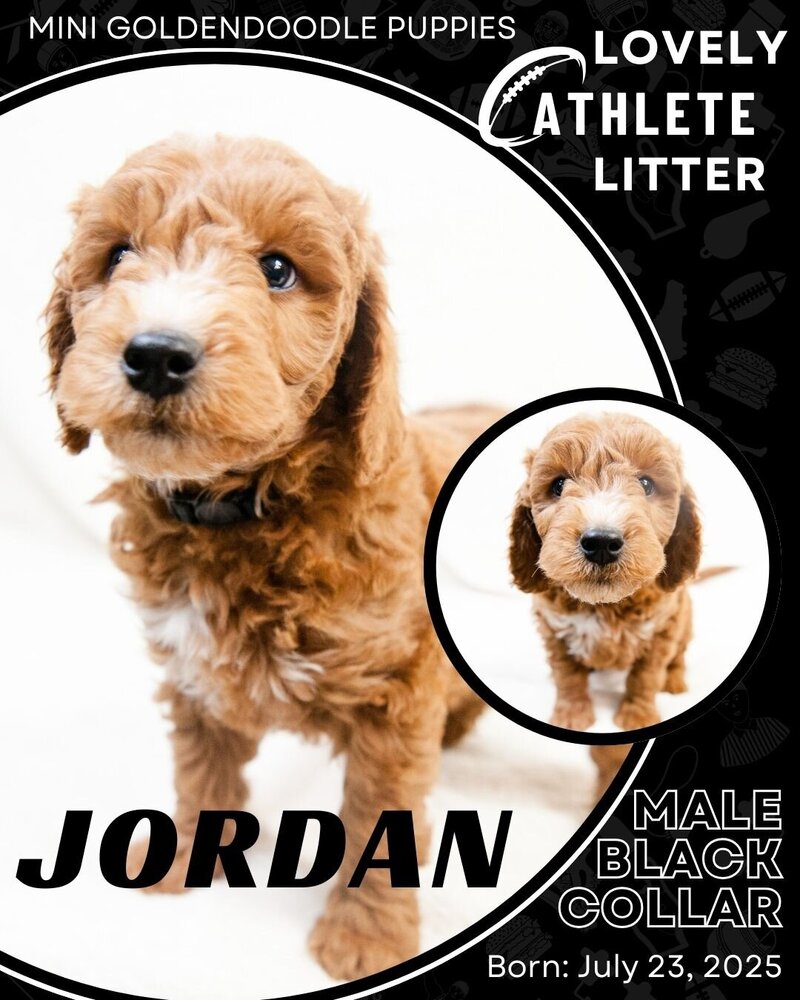 Athlete - Black Jordan Male