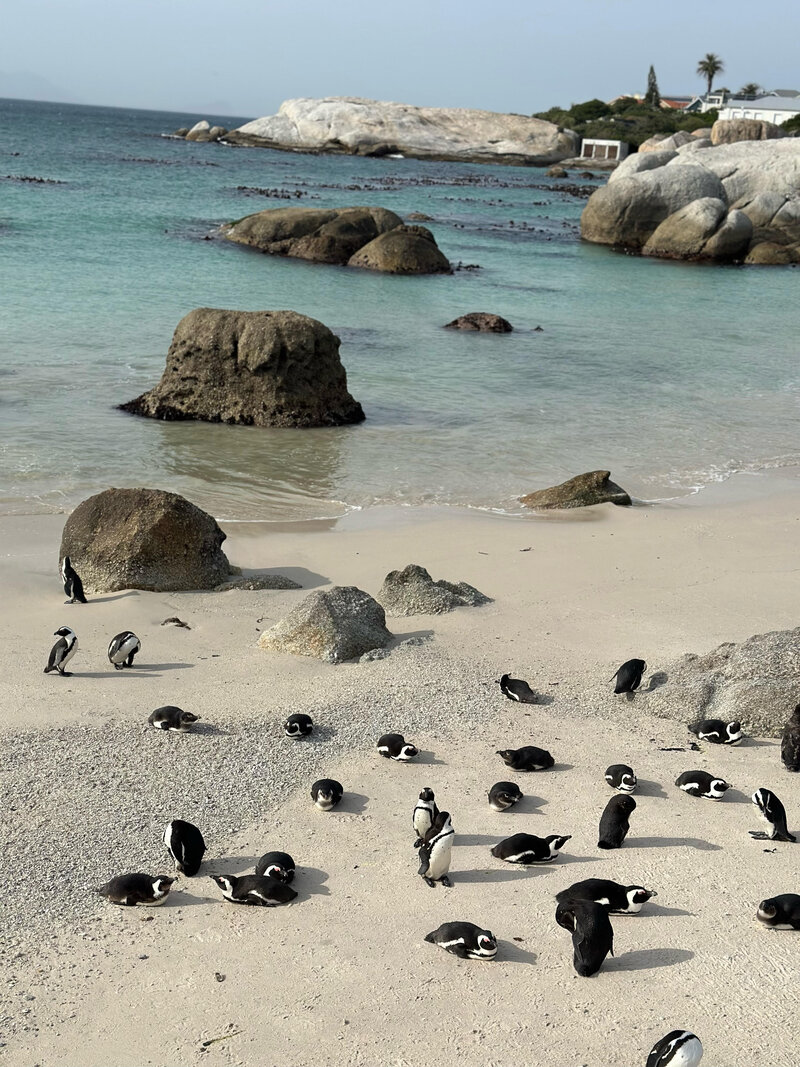 Cape Town