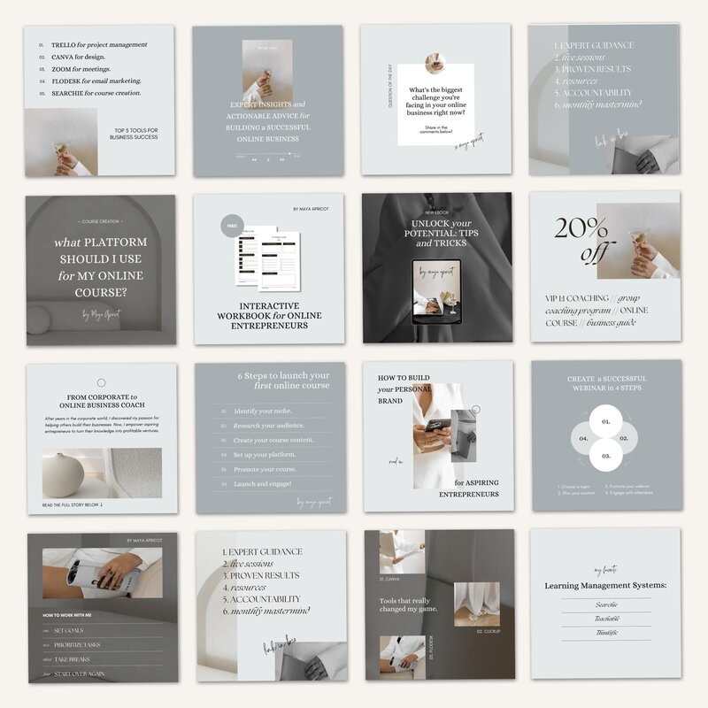 She Talks Business - Maya Apricot - social media Canva templates 5