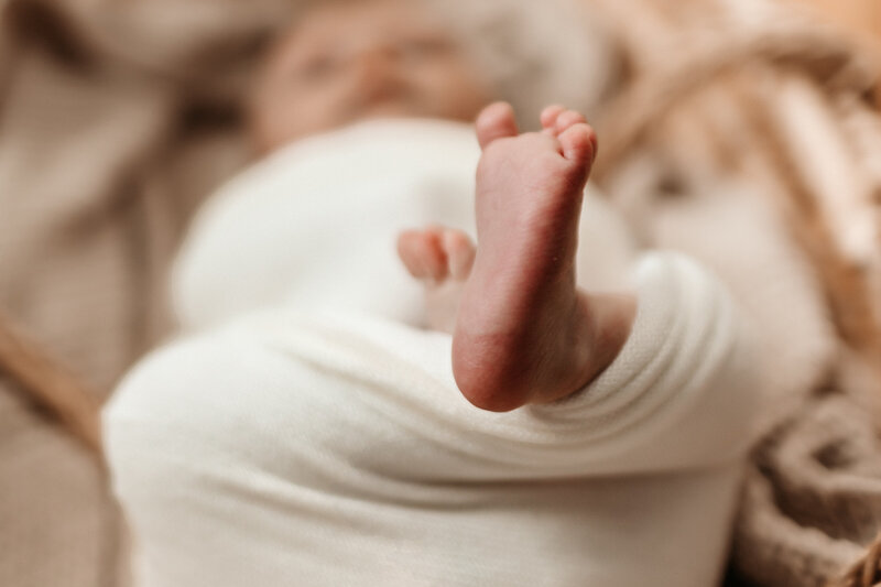 murfreesboro tn newborn photographer
