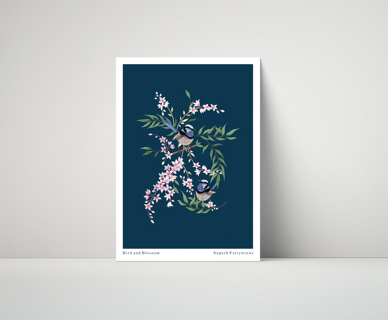 Fairy wren poster copy
