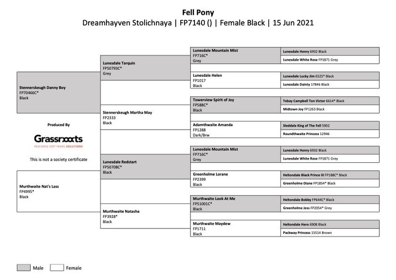 Pedigree-FP7140-Dreamhayven Stolichnaya