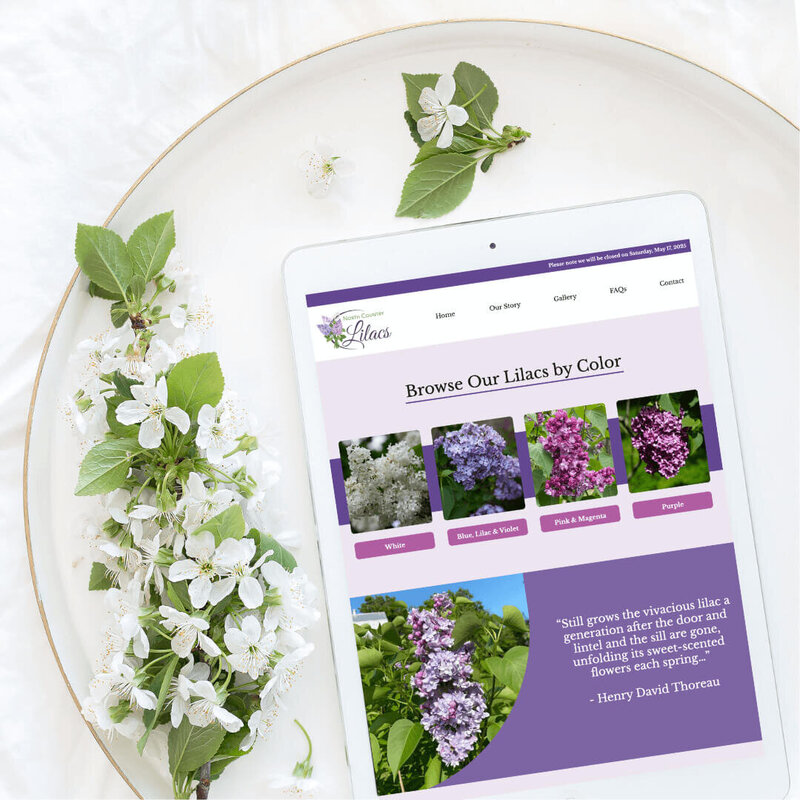 North Country Lilacs ipad mockup with white flowers showing a Browse our lilacs by color section and quote