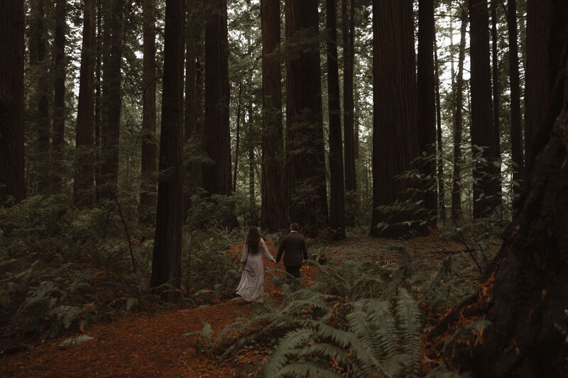 bride and groom looking small while passing giant redwoods