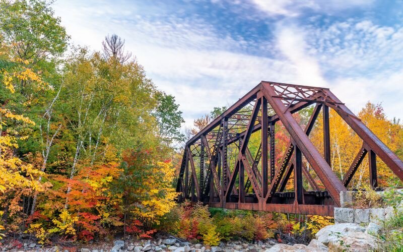 Beautiful wooded area in New Hampshire, showcasing a scenic spot surrounded by trees