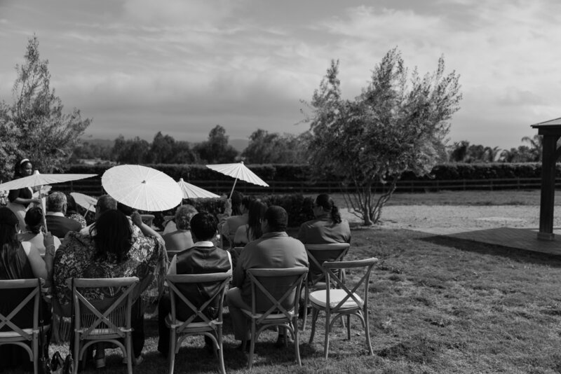 Wedding guests sitting with parasols, waiting for the ceremony to start, in black and white.