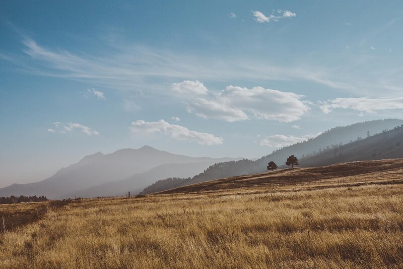 pexels-eg39-4500207