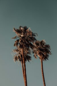 GD_ESI_645