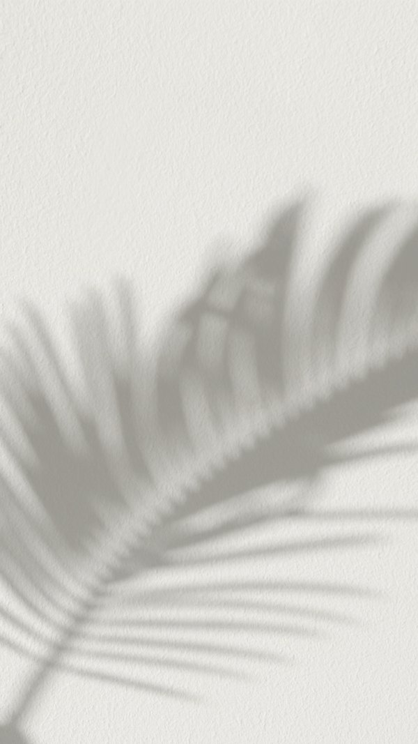 Palm frond shadow moving against a wall