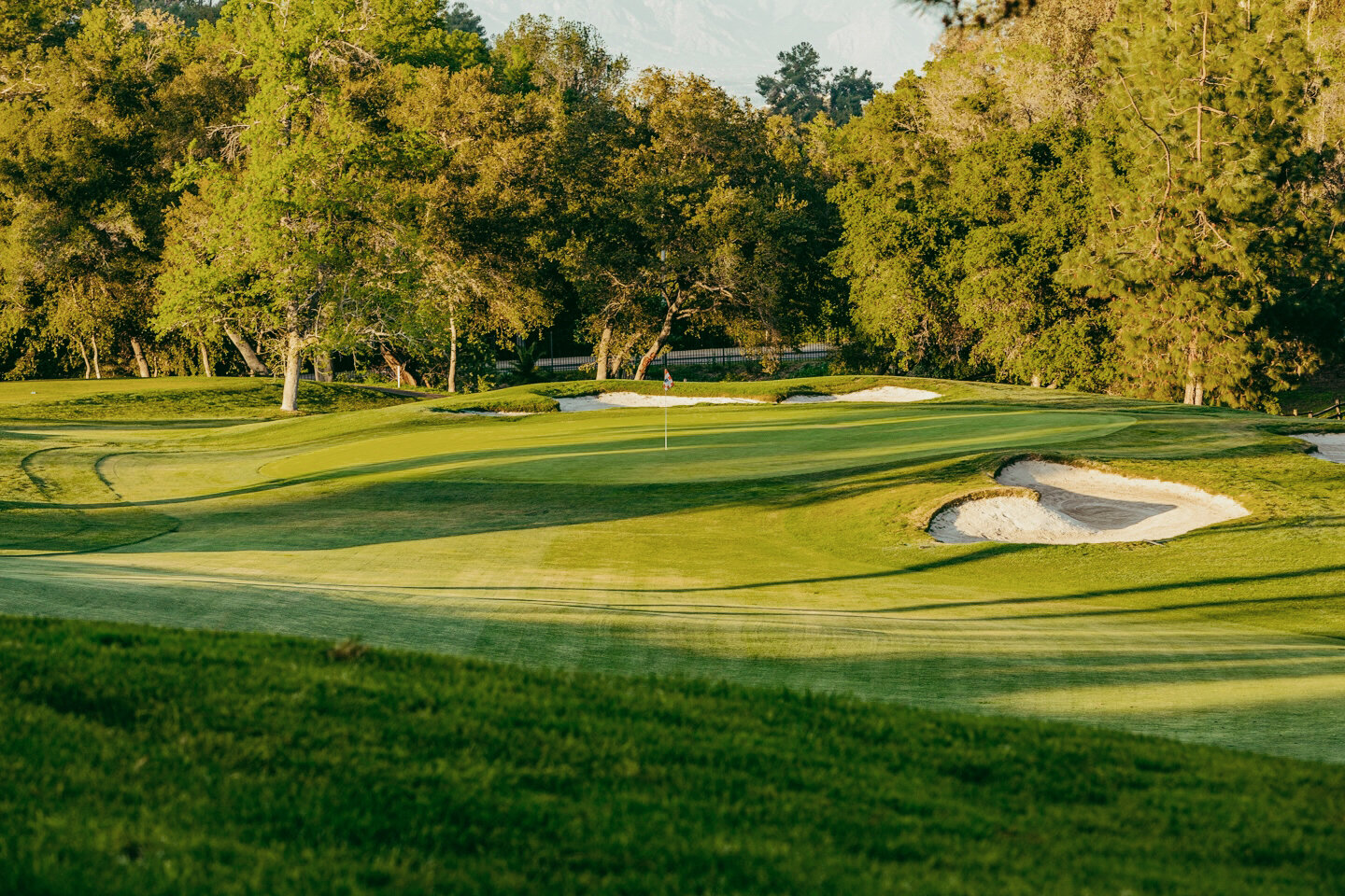 Golden-hour green