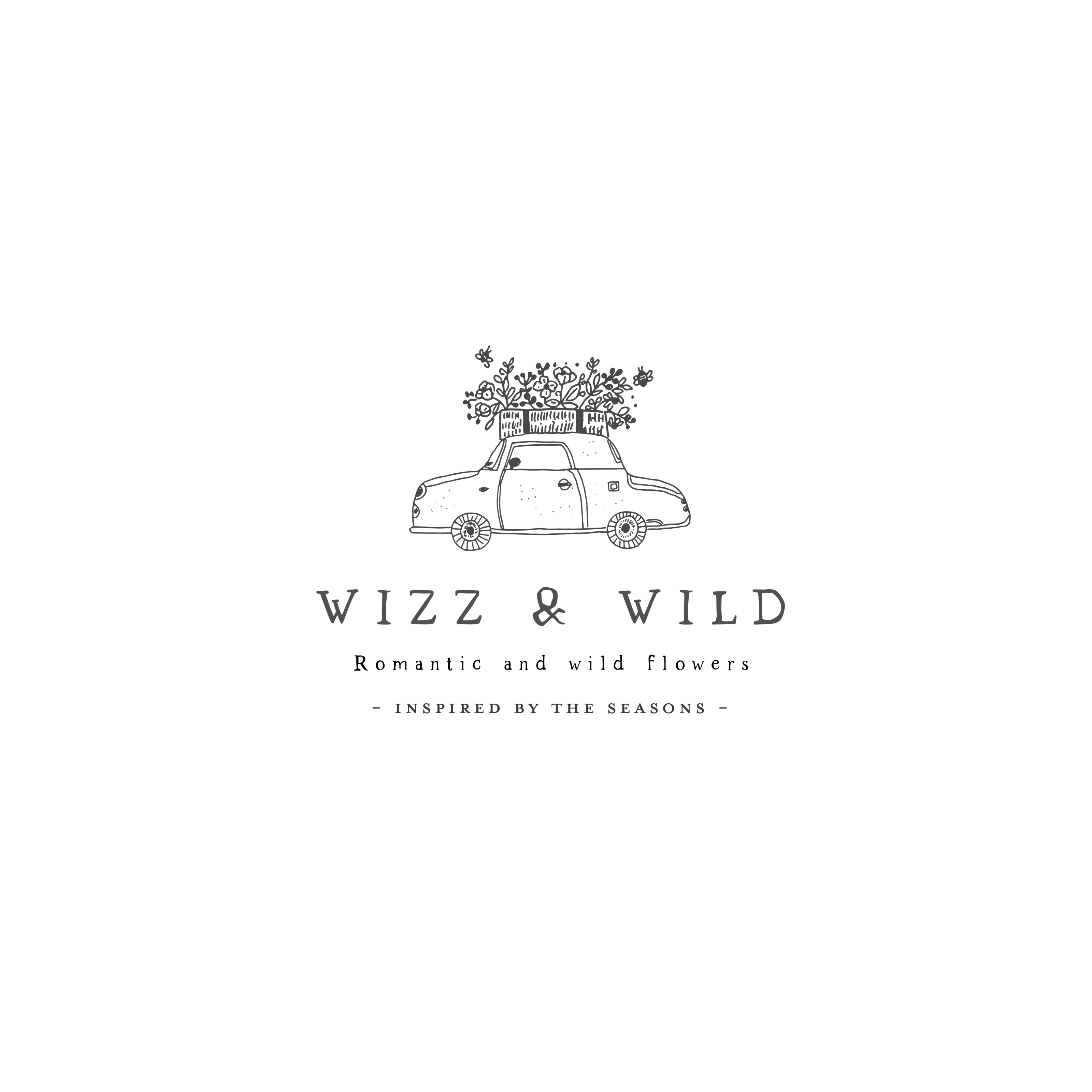 wizzandwildlogo