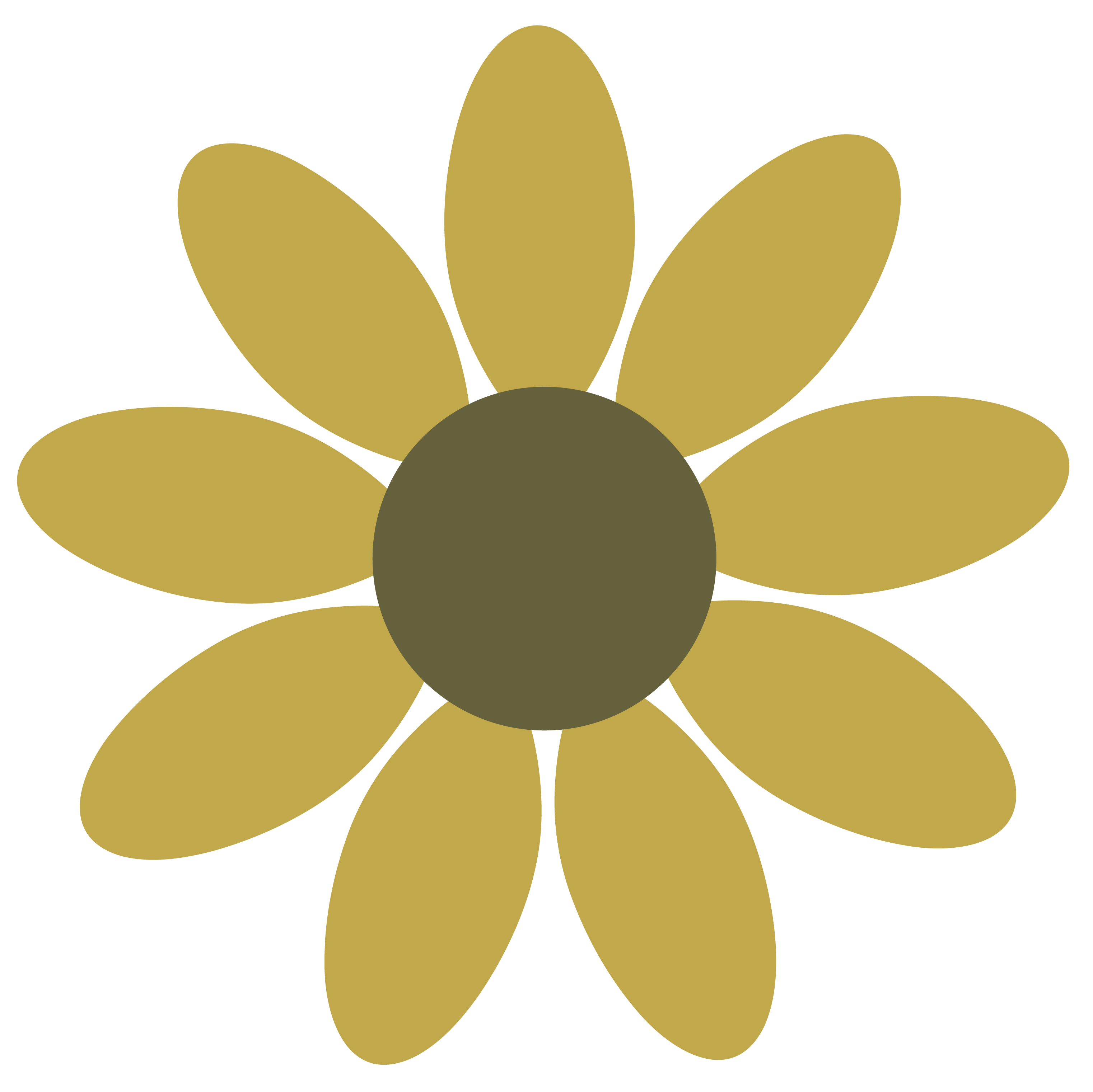 Spinning Image