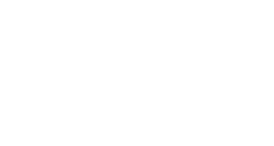 Logo 9