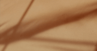 A sheer fabric draped in soft light, representing the delicate beauty and strength of motherhood.