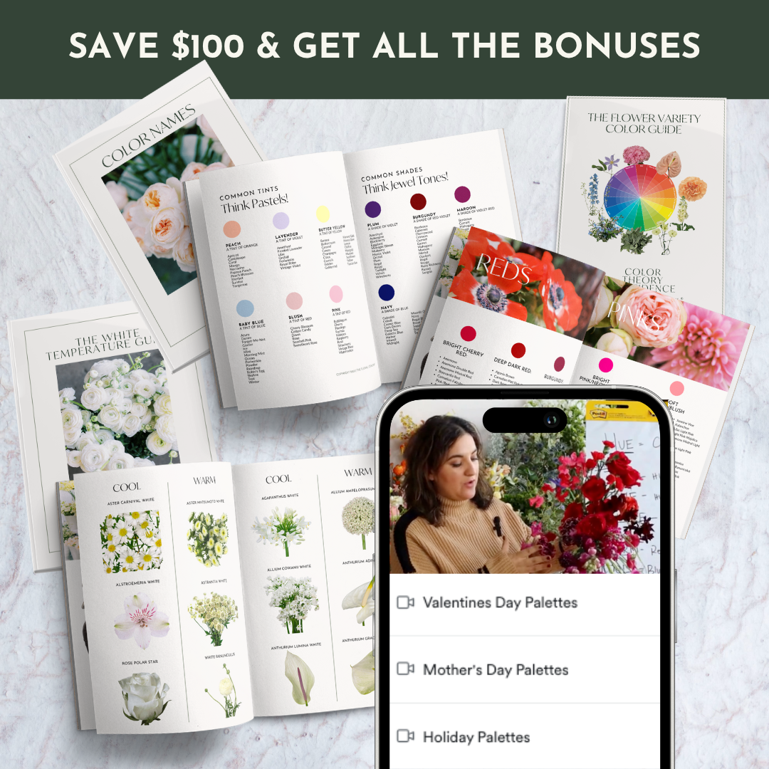 Color Theory Square 5