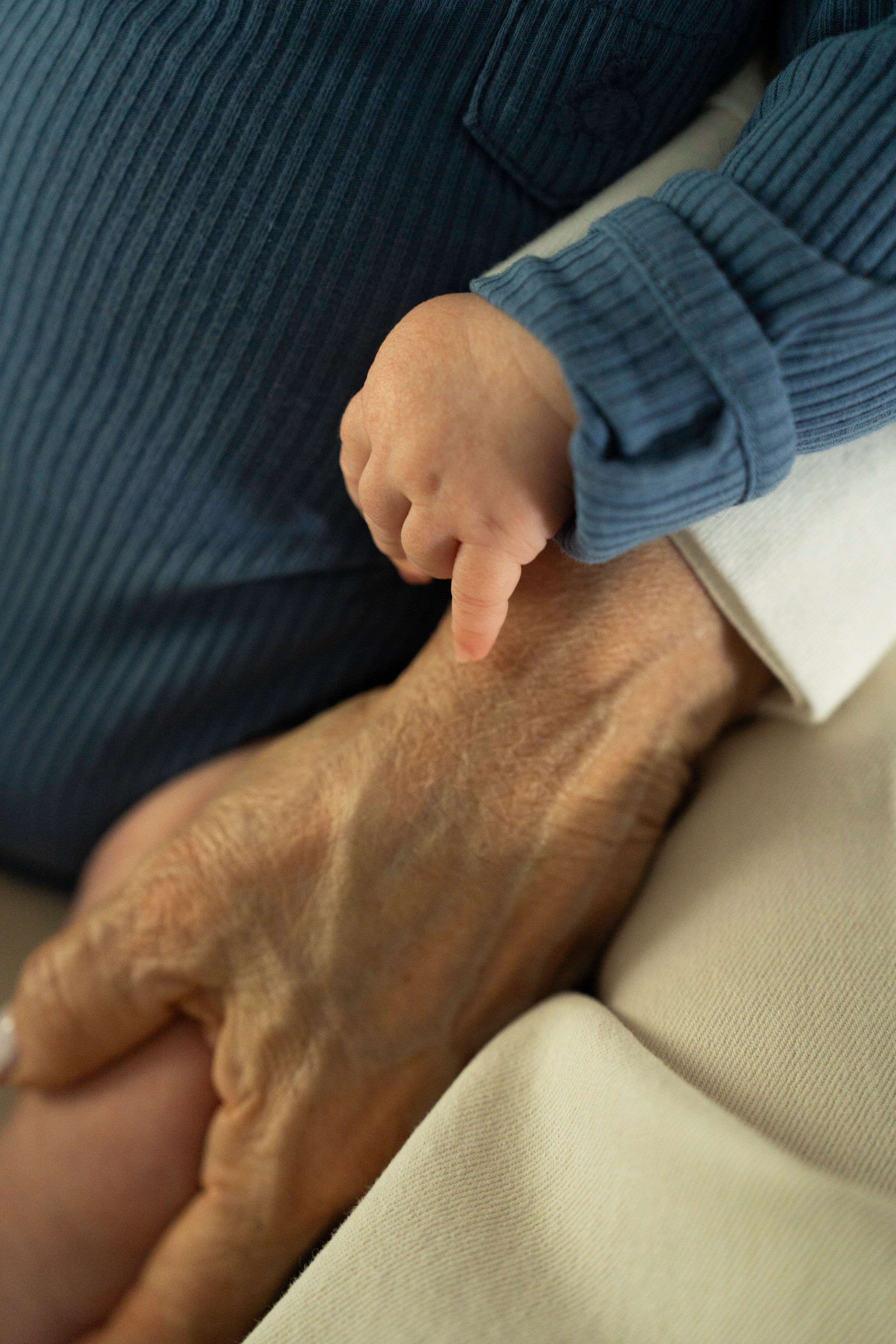 Descriptive Alt Text